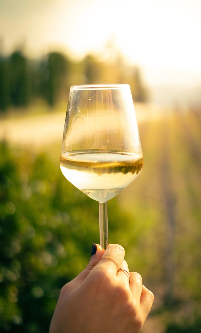 services-03 A person holding a glass of white wine against a sunny vineyard backdrop, creating a warm and inviting image.